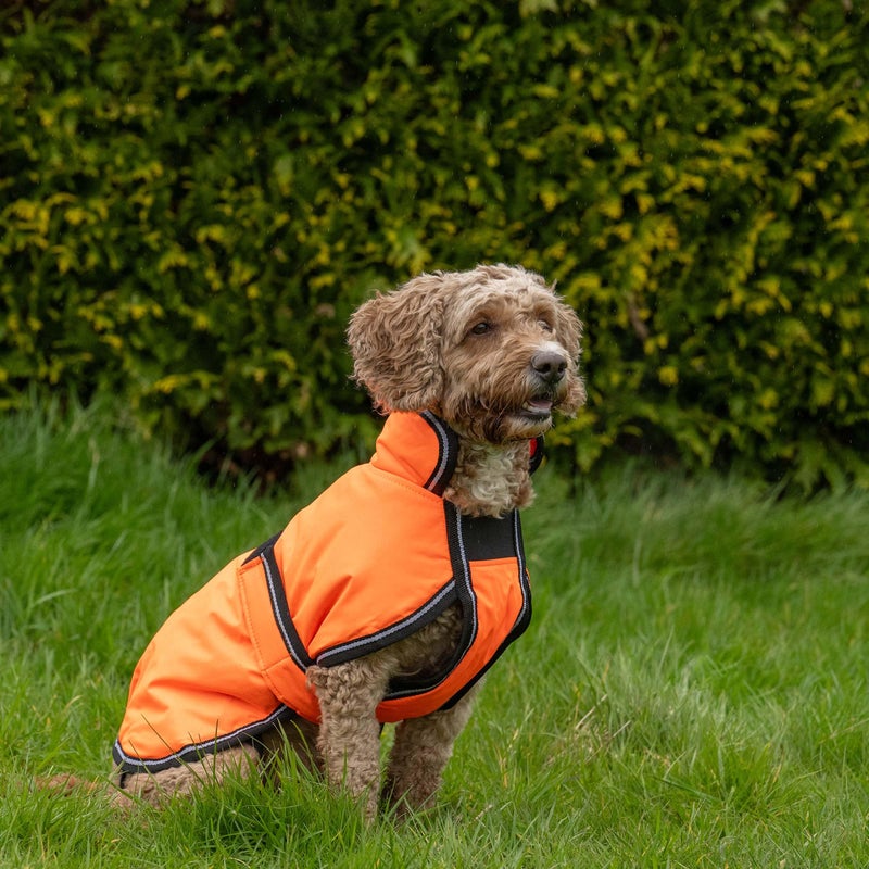 WeatherBeeta ComFiTec Reflective Parka 300D Deluxe Dog Coat, Orange, 26" - Image 4